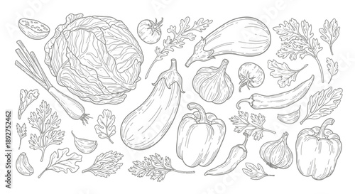 Variety of Vegetables and Fruits Illustration.