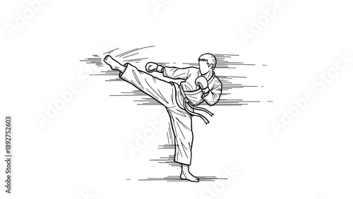 Dynamic karate kick line art featuring martial artist in action pose