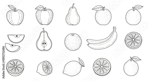 Hand Drawn Fruits and Citrus Illustrations.