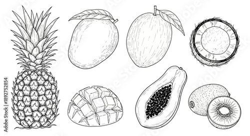 Detailed Drawings of Various Tropical Fruits.