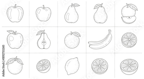 Collection of Hand Drawn Fruits in Grid.