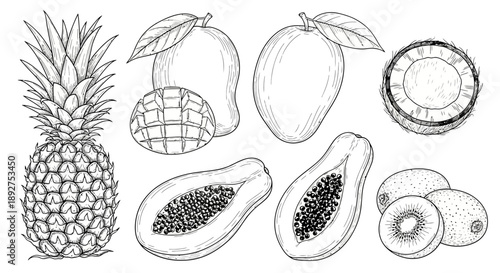 Assorted Tropical Fruits Hand Drawn Illustrations.