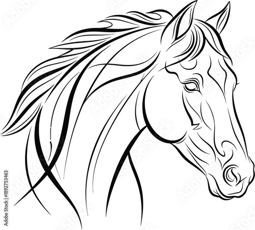 Stylized horse head outline drawing appears.