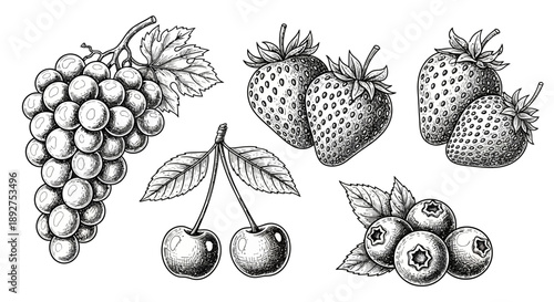 Assorted Fruits Grapes Strawberries Cherries Blueberries.
