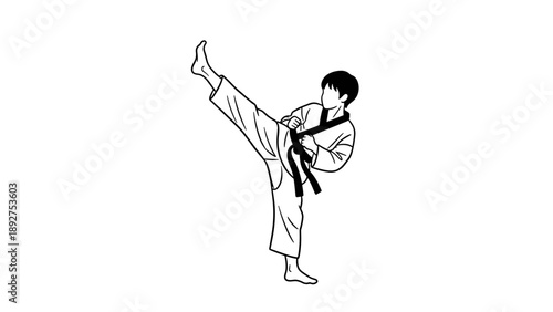 Karate martial artist in high kick silhouette on white background