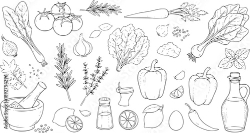 Hand-drawn collection of fresh ingredients for cooking and seasoning
