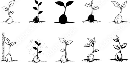 Different artistic styles of sprouting plant icons
