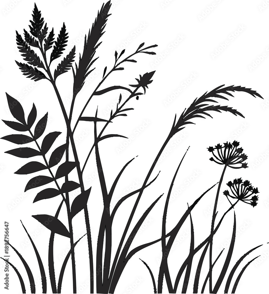 Obraz premium Black and white meadow grass and wild plants silhouette