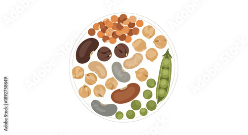 Illustration of various legumes including kidney beans, lentils, chickpeas, and peas for World Pulses Day, highlighting nutritional and environmental benefits in a vector graphic.