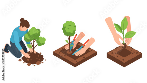Isometric gardening steps: woman planting a tree with tools and seedling care