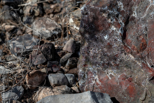 Wallpaper Mural Minerals and Tailings Torontodigital.ca