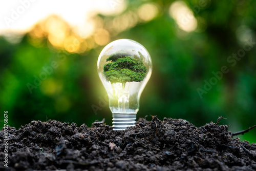 Renewable energy concept Earth Day or environment protection Hands protect forests that grow on the ground and help save the world.