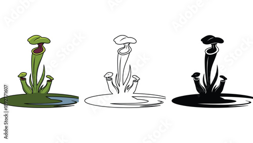 An illustration of a carnivorous plant in three different styles
