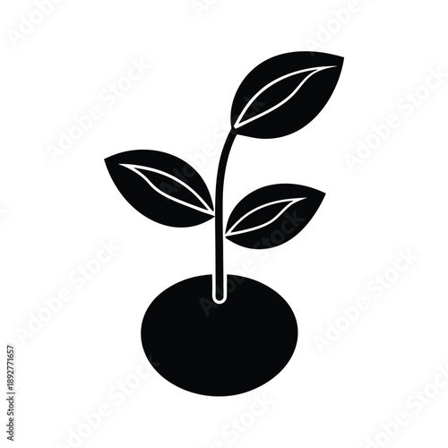 Seed Sprout Growth Icon