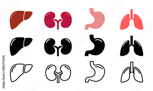 Set of human organ icons including liver, kidneys, stomach, and lungs, shown in color, black, and outline styles for medical or health concepts