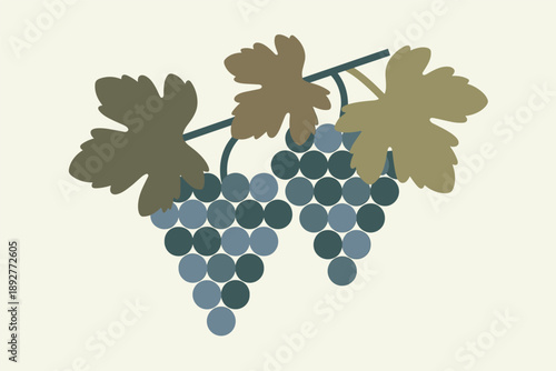 Flat Design Grape Bunches with Leaves, vineyard illustration concept