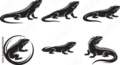 Green Iguana Classic Icon Set Realistic Silhouette Black and White Reptile Icons.eps