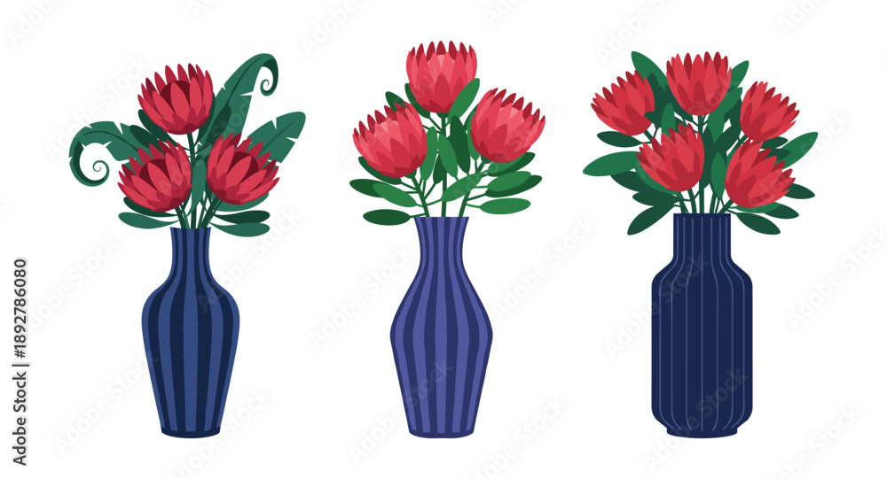 Obraz premium Set of vases with red protea flowers