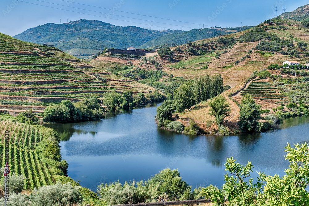 Fototapeta premium Lake And Vineyards In The Douro River Valley