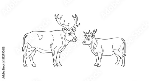 Illustration of two deer, a large stag with impressive antlers and a smaller fawn, depicted in simple, clean line art on a white background