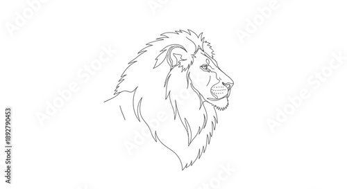 A detailed sketch of a majestic lion's head, showcasing its regal mane and powerful profile, perfect for design projects