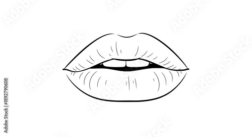 A detailed line drawing of a human mouth with defined lips, showcasing a subtle smile, perfect for beauty, cosmetic, and facial aesthetics related content