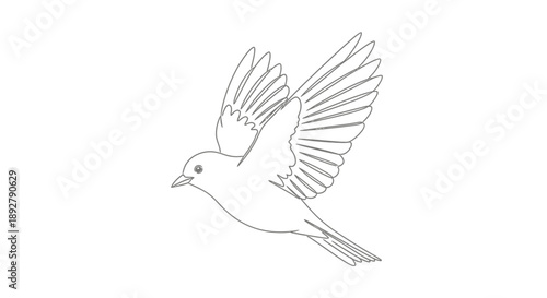 Outline of a bird in flight with wings spread, depicted in a minimalist, clean line art style on a white background
