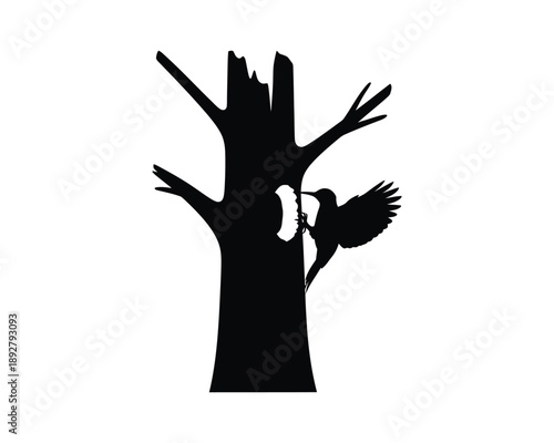 woodpecker drilling tree trunk, woodpecker eating insect, woodpecker eating ant, woodpecker with tree woodpecker and fledgling on tree stump, woodpecker on tree silhouette, two woodpecker eating ant, 