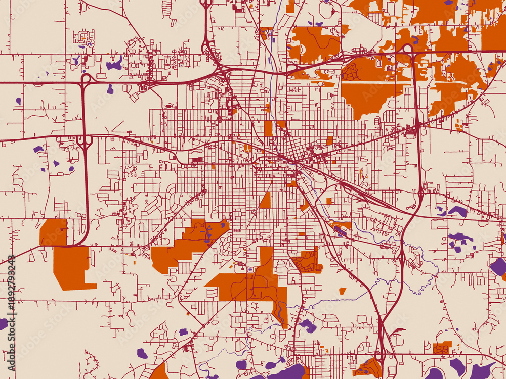 Obraz premium Urban grid map — Jackson, Michigan