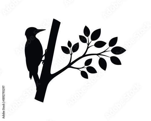 woodpecker drilling tree trunk, woodpecker eating insect, woodpecker eating ant, woodpecker with tree woodpecker and fledgling on tree stump, woodpecker on tree silhouette, two woodpecker eating ant, 