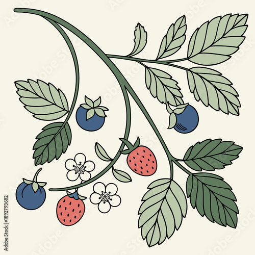 vector illustration of berries on a branch