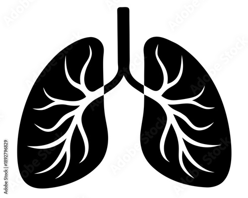 Human lungs   Black silhouette vector,Human lungs  icon vector