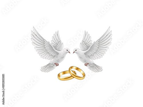 Two white doves with interlocking gold wedding rings isolated on transparent background
