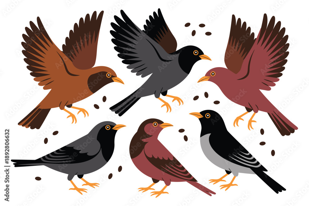 Fototapeta premium A group of colorful birds flying and standing on a white background