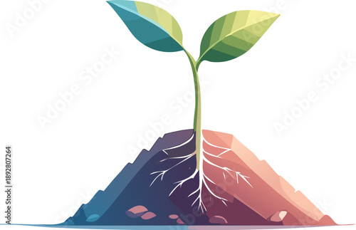 Seedling growing with visible roots in soil.