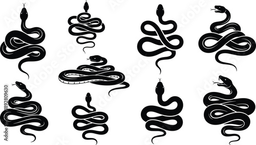 Set of snake silhouettes in black showing coiled and striking poses for wildlife illustration, reptile design, tattoo art, and vector graphics use