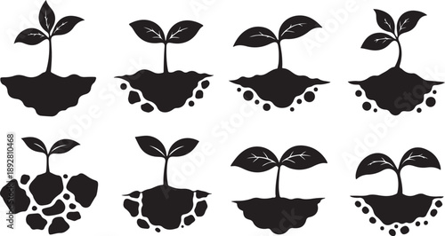 Set of small plants growing in different soil conditions