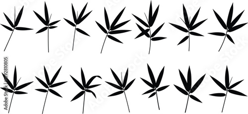 Set of bamboo leaf silhouettes in clean minimalist style, botanical foliage illustration collection isolated on white background for design use