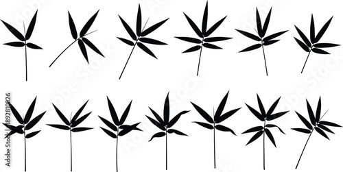 Set of bamboo leaf silhouettes in varied shapes, minimalist botanical illustration collection isolated on white background for design use