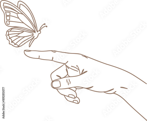 Human hand with butterfly landing on finger in line art style. Harmony, nature, and fragility concept. Vector illustration for design, web