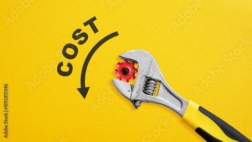 Картината върху платно Cost Reduction Business Strategy - Expense Control, Budget Optimization, Financi