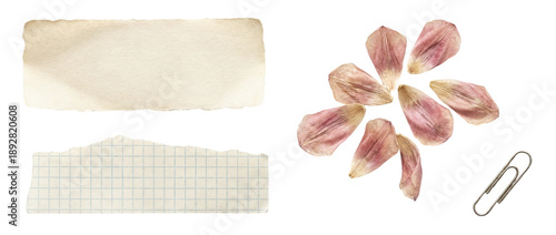 Obraz na plátně Set of aged torn strip grid paper scrap dried rose petals and a metal paperclip