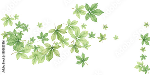 Adobe Illustrator Artwork