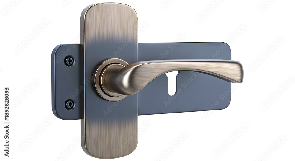 Fototapeta premium Antique Brass Door Handle with Dark Plate