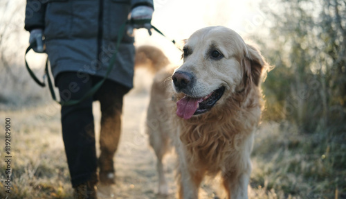 Girl Walks With Adorable Golden Retriever On A Frosty Morning As The Owner Leads The Dog On A Leash Along A Path