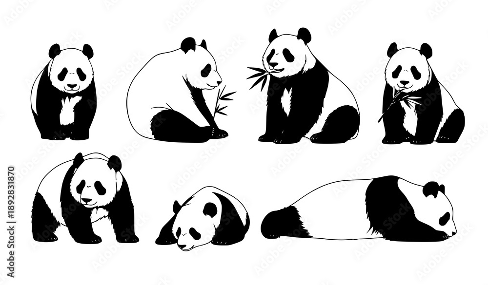Fototapeta premium Panda silhouette vector set realistic wildlife poses