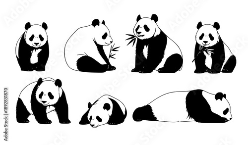 Panda silhouette vector set realistic wildlife poses
