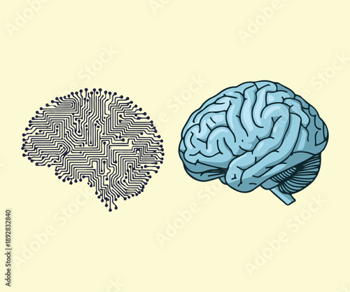 Circuit board brain and human organ illustration representing artificial intelligence concept