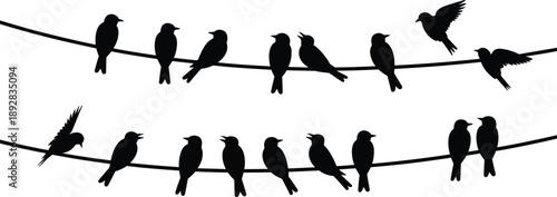 Birds on wire silhouette set, flying and sitting birds vector collection, wildlife illustration, nature design elements isolated on white background