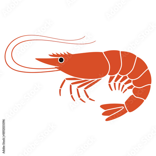 shrimp on white background